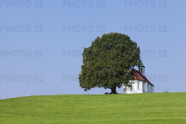 Heilig-Kreuz-Kapelle