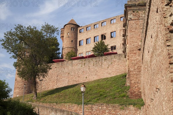 Burg Wertheim Castle