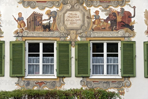 House of Marie Matt Field