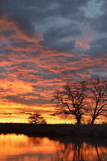 Sunrise over the Leiner See lake in the Middle Elbe Biosphere Reserve
