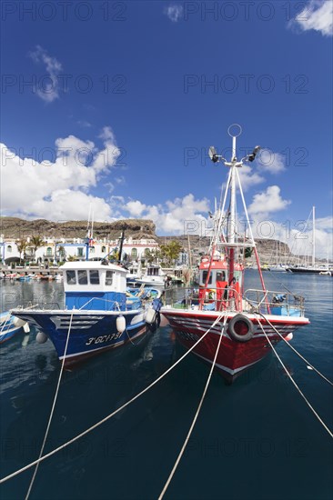 Fishing boats in the harbor