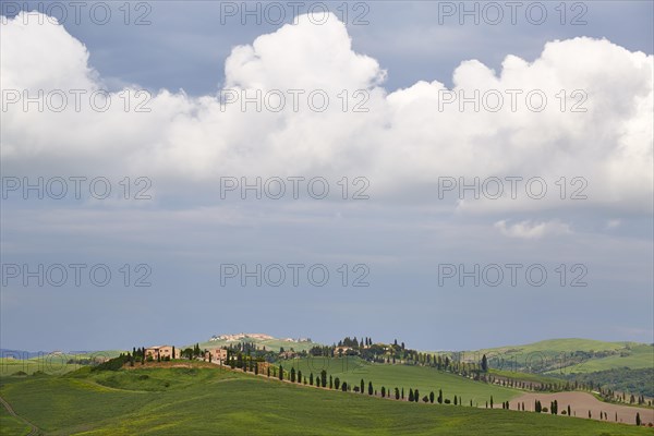 Hilly landscape of the Crete Senesi