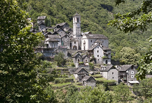 Village of Corippo