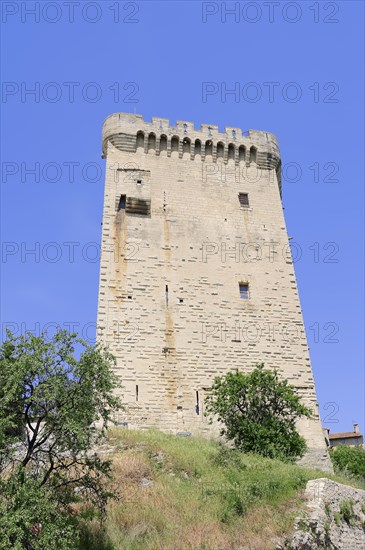 Tour Philippe Le Bel