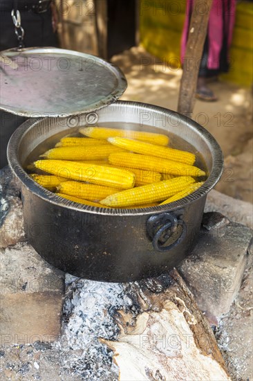 Boiled corn cobs at a cookshop