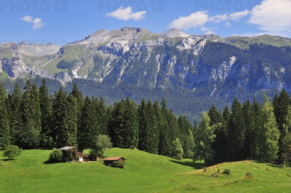 Alpine meadow with hut near Flims