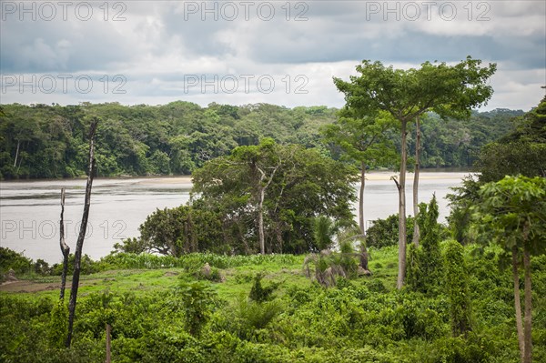 The river Sangha