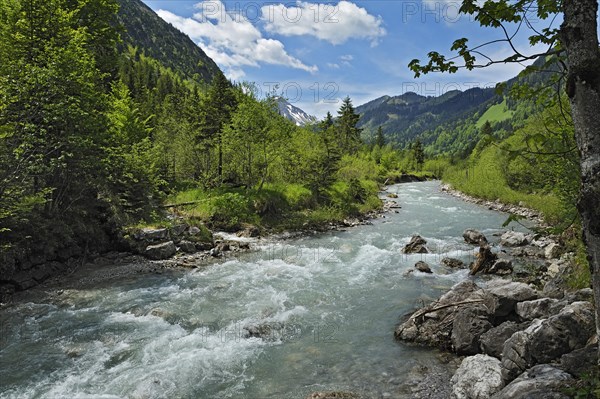 Torrent