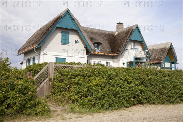 House with thatched roof