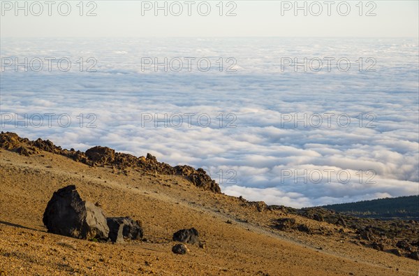 Huevos del Teide