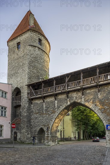 Part of the city wall with a defence tower and a gate