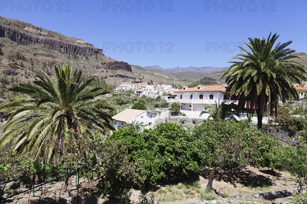 Village of Fataga