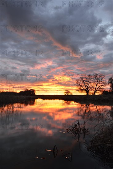 Sunrise over the Leiner See lake in the Middle Elbe Biosphere Reserve
