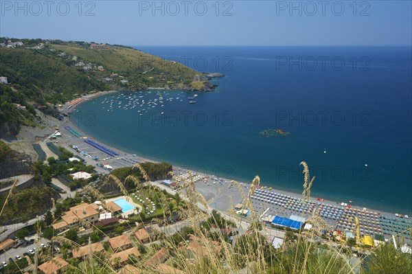 Coast