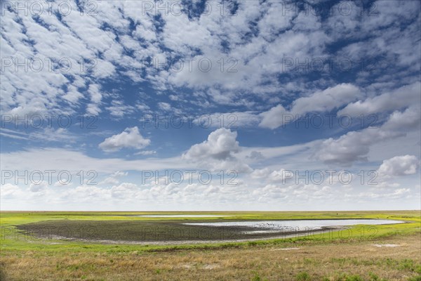Vast landscape