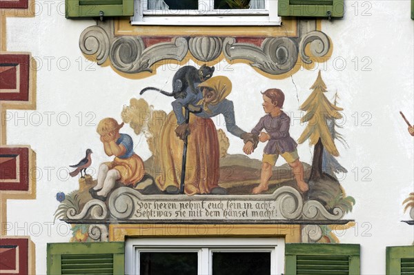 House of Marie Matt Field
