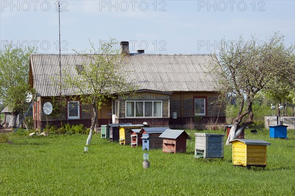 Beehives in front of a house