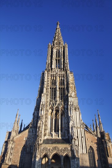 Ulm Minster