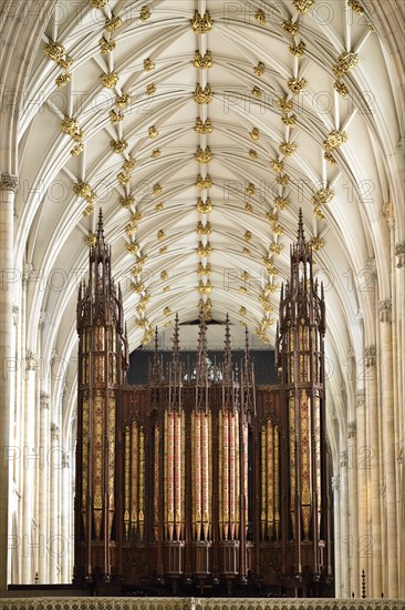 Organ by Elliott and Hill