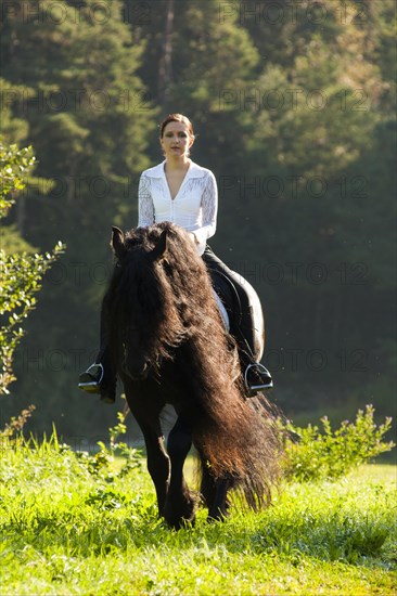 Horsewoman riding a black Friesian horse with a long crest