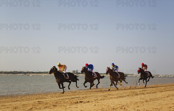 Horse race at the beach of Sanlucar de Barrameda at the Guadalquivir river mouth