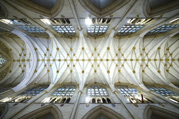 Net vaulting in the nave
