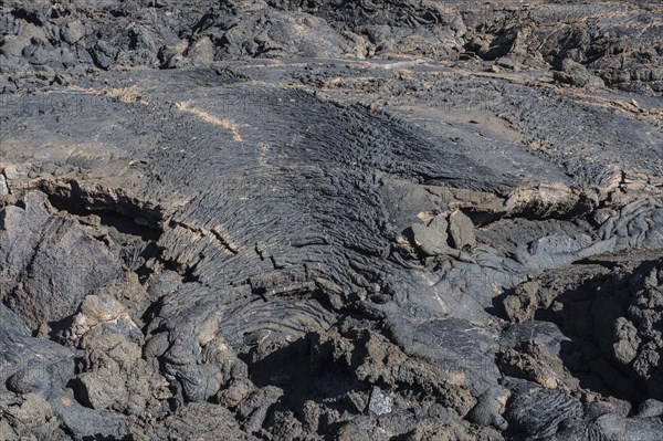 Lava
