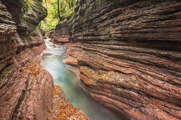 The Taugl river