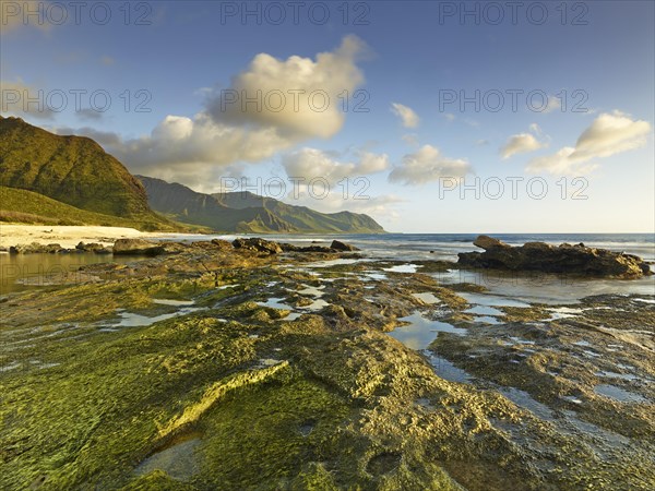 Beach at Ka'ena Point State Park