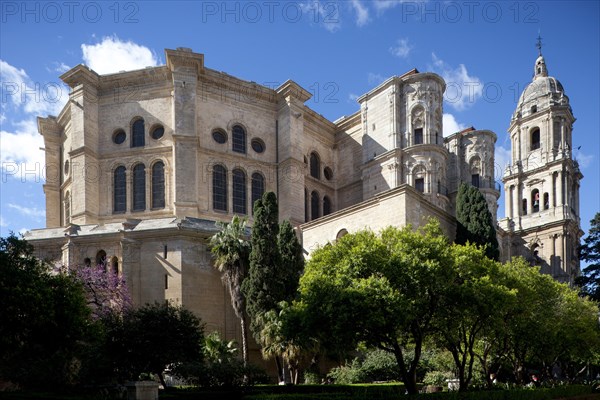 Malaga Cathedral