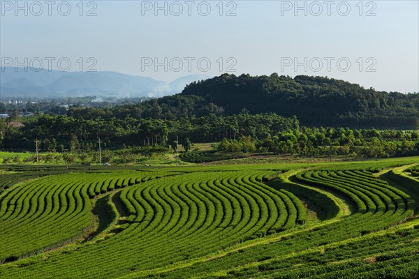 Boon Rawd Farm