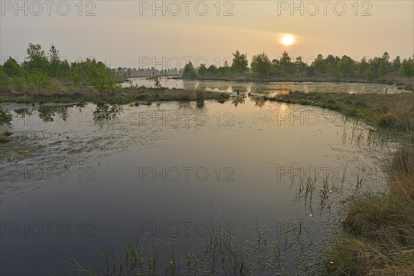 Sunrise in the Hahnenmoor nature reserve