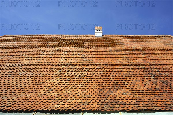 Roof of an old farmhouse with plain tiles
