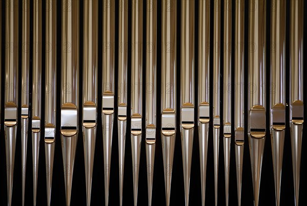 Organ pipes