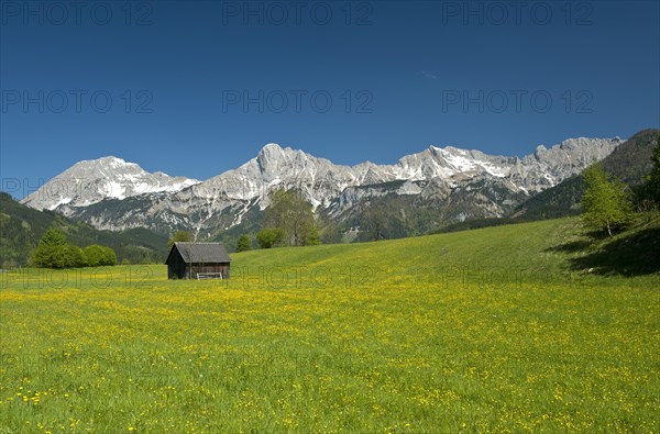 Wooden hut on flower meadow