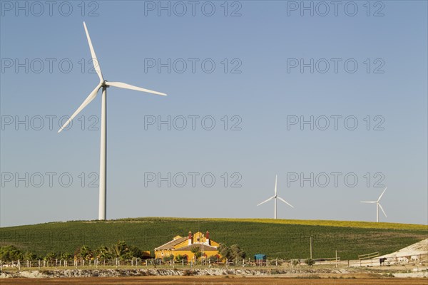 Andalusian country estate in front of a windmill