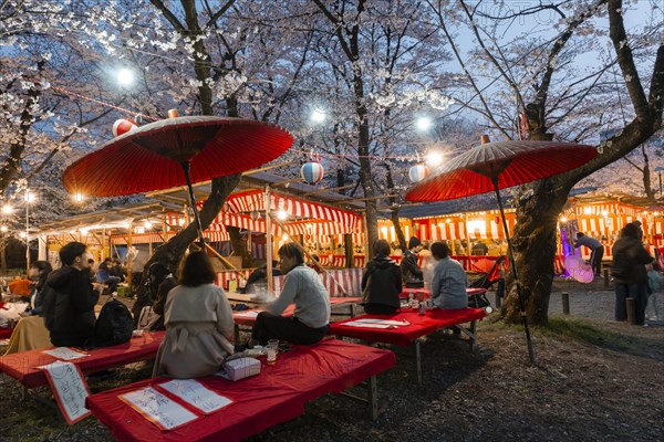 Food stalls at the cherry blossom festival