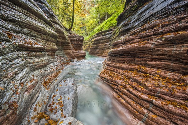 The Taugl river