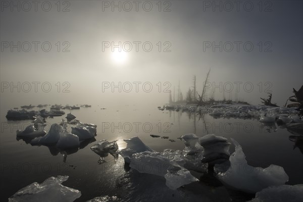 Beached iceberg and fog at Pakenham Point