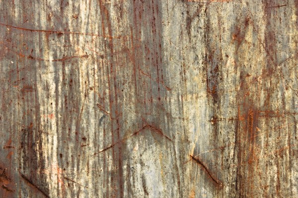 Texture