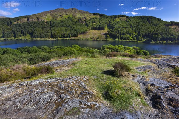 Loch Trool in the Galloway Forest Park