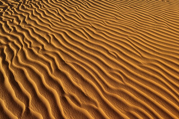 Sand ripples