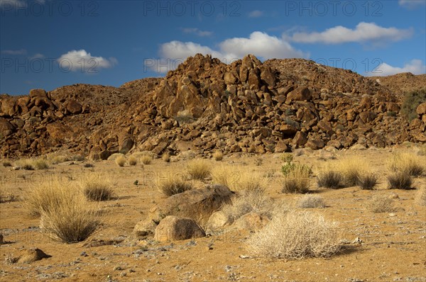 Desert landscape with the heavily eroded Granitberg Mountain in Richtersveld Transfrontier National Park