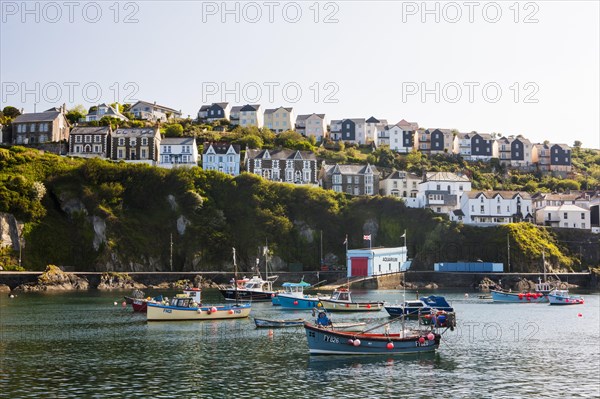 Harbour with fishing boats