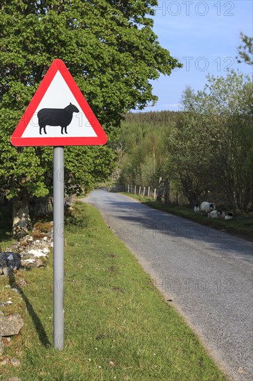 Street sign