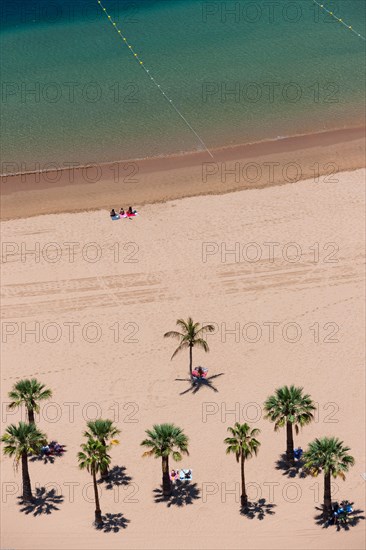 The sandy beach of Playa de las Teresitas with palm trees