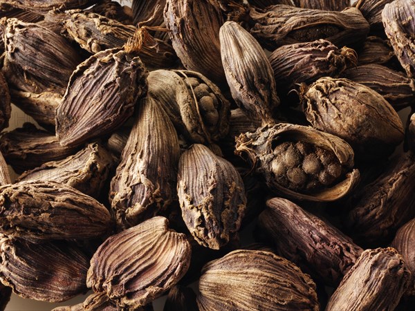 Black cardamom