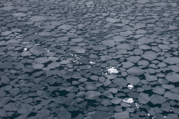 Floes created by slush