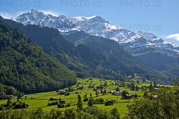 Summer mountain landscape with the Glarus Alps at back