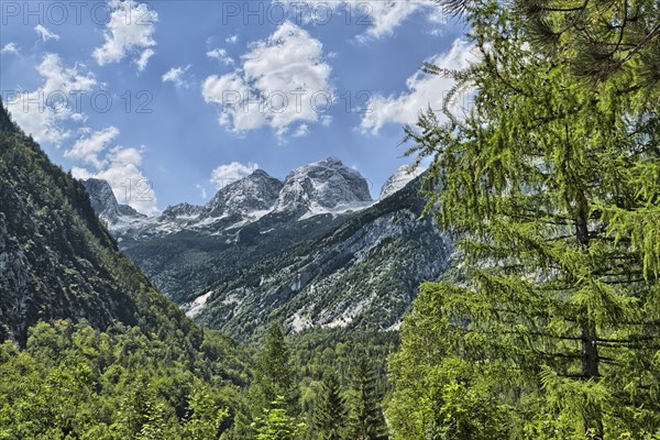 Prisojnik Mountain